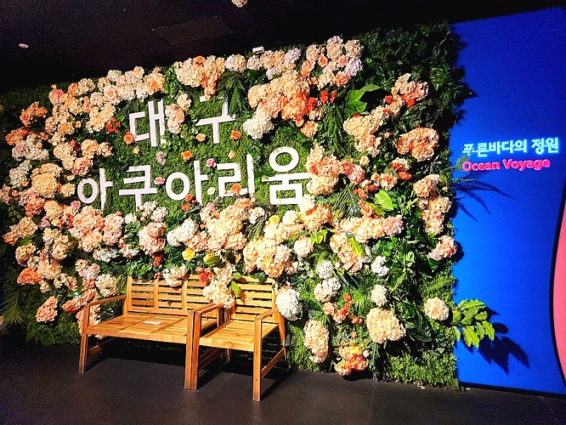 [대구명소] 대구 아쿠아리움 생일 할인 받아 다녀온 후기! 인어공주 공연 시간표 & 주차 팁