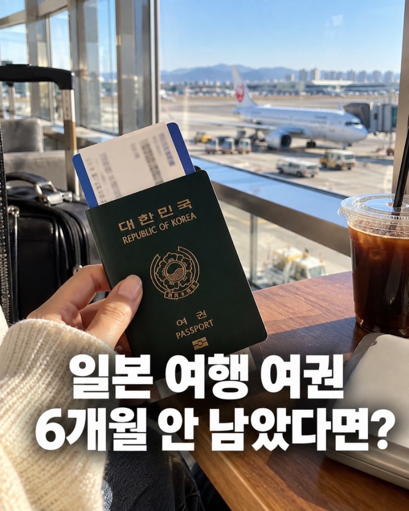 일본 여행 여권 6개월 안 남았다고요? 비행기 예약 전 꼭 알아야 할 사실