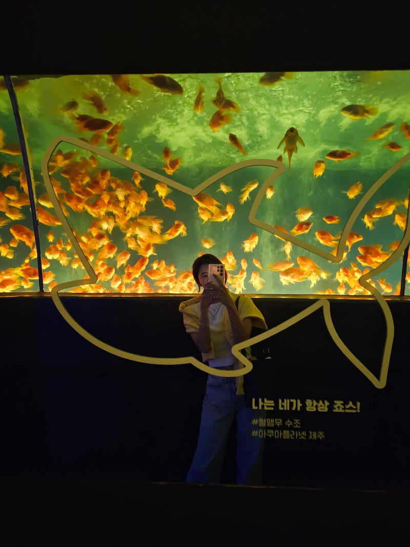 제주도 실내 관광지 제주 아쿠아플라넷