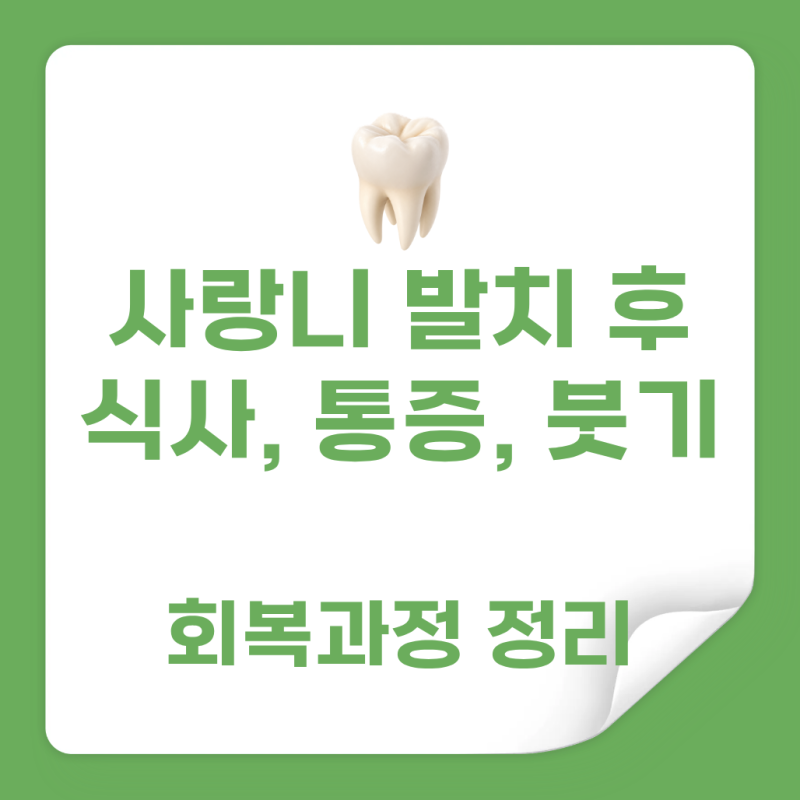 [마곡치과] 사랑니 발치 후 식사, 통증, 붓기까지 일주일 회복 과정 정리