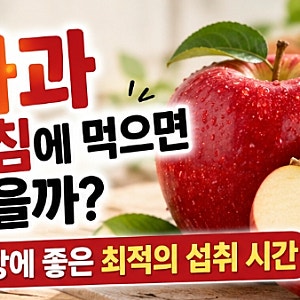 “사과 아침에 먹으면 좋을까?” 혈당 걱정된다면 꼭 알아야 할 섭취 시간