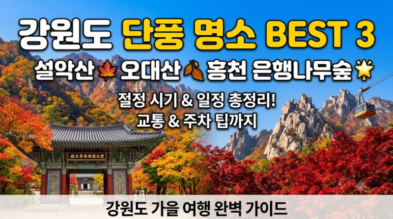 단풍의 성지, 강원도에서 즐기는 가을: 단풍 명소 & 초보자 맞춤 코스 완벽 가이드