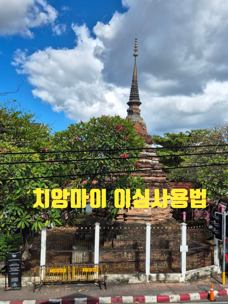 유심사 이심 활성화 설치방법, 태국 치앙마이 8일 사용 후기