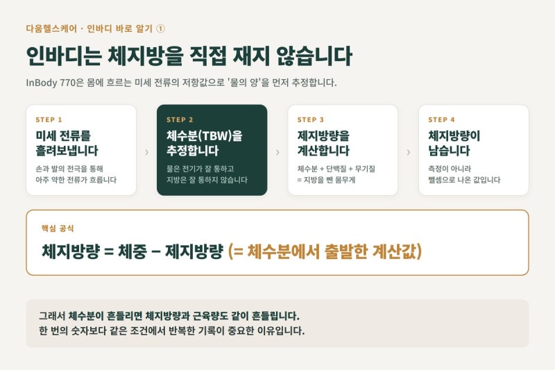 인바디 보는 법: 체지방량 1.5kg 감소의 진짜 의미