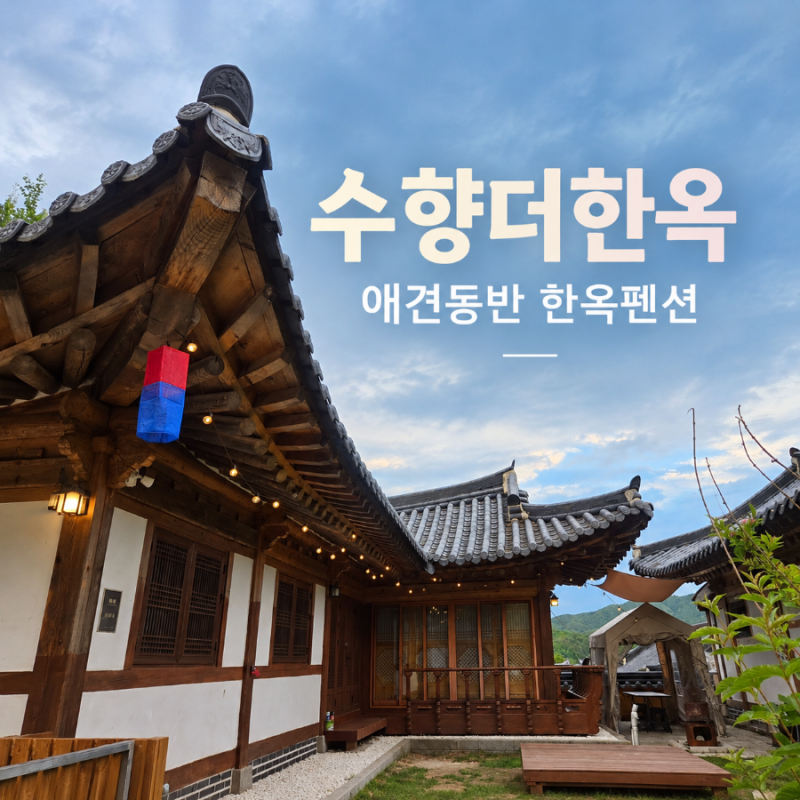 양평 애견동반 펜션 | 한옥펜션 수향더한옥 숙박 후기