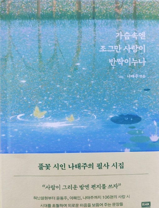 나태주 필사 시집 추천 가슴속엔 조그만 사랑이 반짝이누나