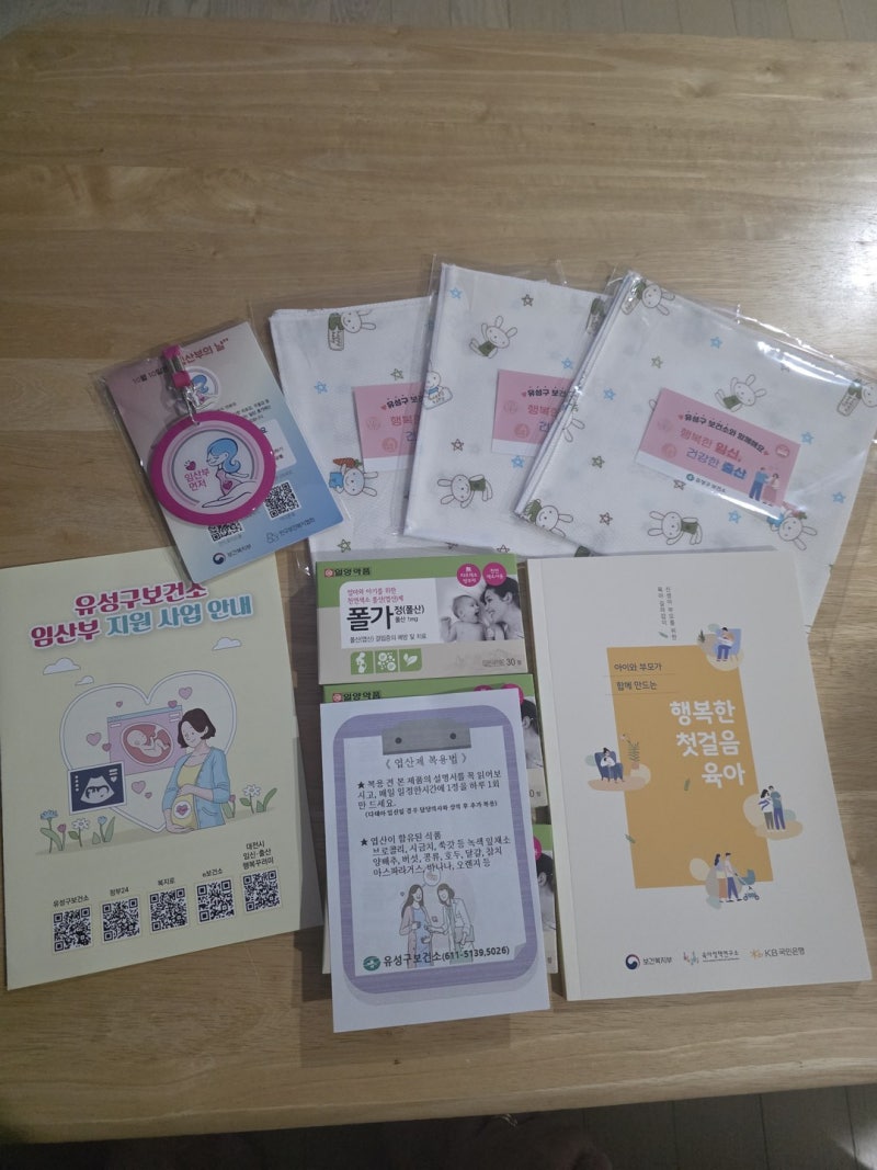유성구보건소 임산부 등록 후기 (엽산제, 산전검사 1,100원, 주차)