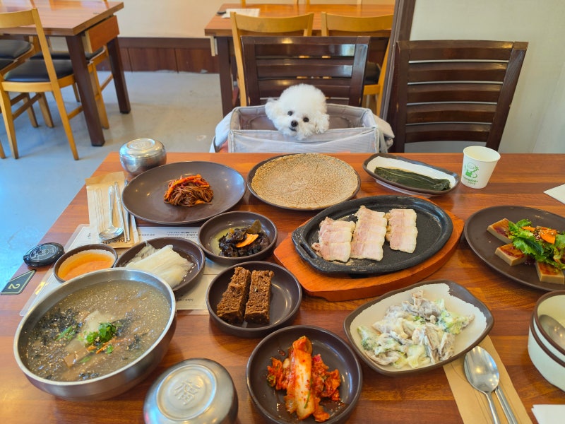 양주 애견동반식당, 한식을 찾는다면 송추도토리