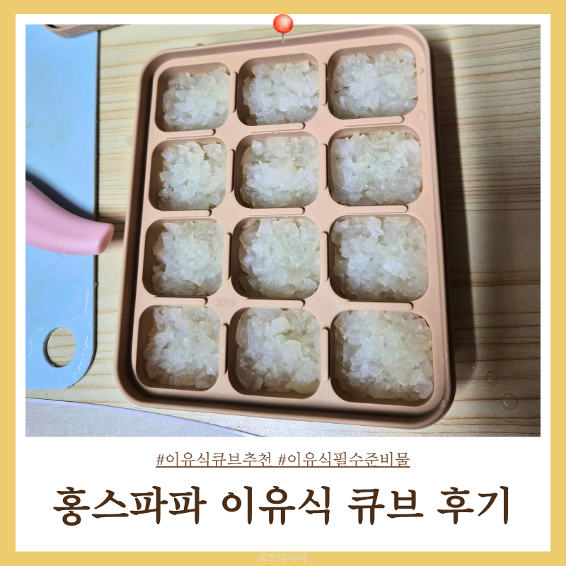 홍스파파 이유식 큐브 내돈내산 열탕소독 이유식 필수 준비물 추천