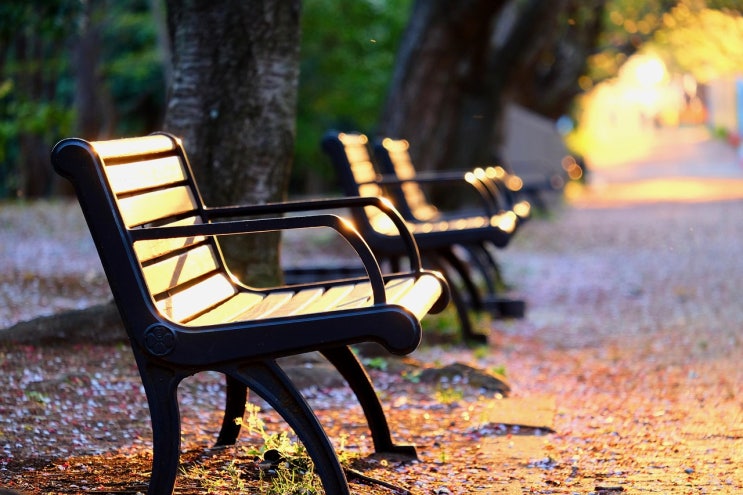 가을 남자아이돌 <b>솔로</b> 러시, 손호영부터 신인까지