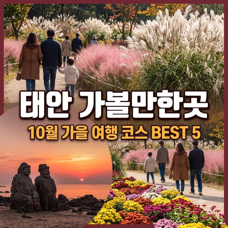 태안 가볼만한곳｜10월 가을 여행 코스 가을꽃박람회 팜파스 BEST 5 총정리