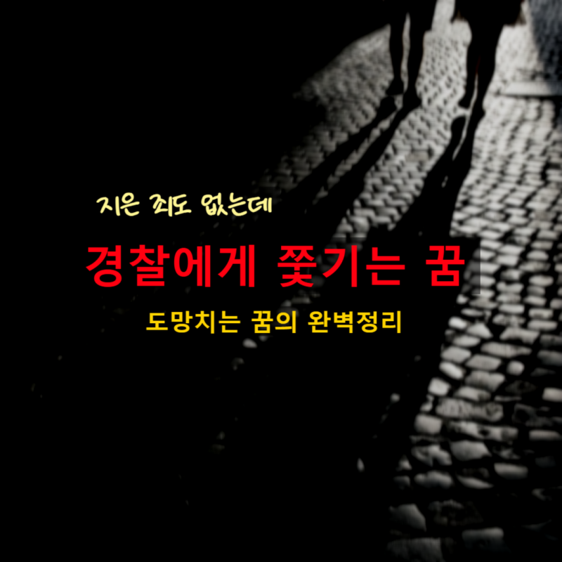 경찰에게 쫓기는 꿈 해몽, 지은 죄도 없는데 도망치는 꿈 완벽 정리