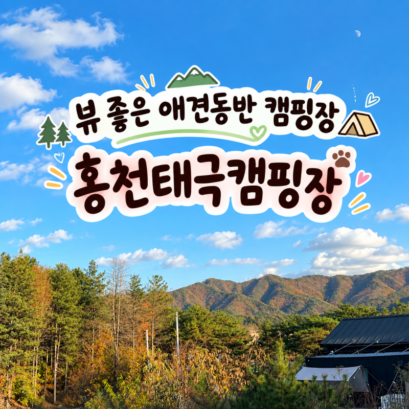 홍천태극캠핑장｜ 뷰 좋은 애견동반 캠핑장｜울타리O, 대형견 가능