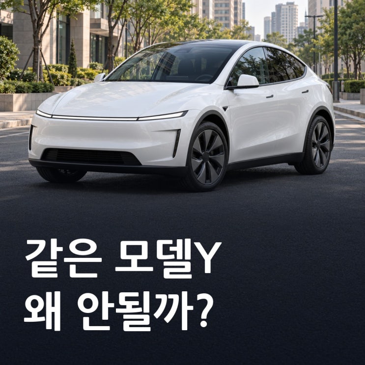 <b>테슬라</b> 모델 Y, 중국산은 왜 국내에서 FSD를 쓸 수 없을까?