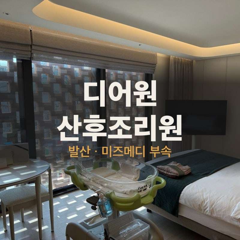 디어원 산후조리원 후기 | 둘째도 또 선택한 이유, 비용·식사·마사지까지 (발산·미즈메디 ....