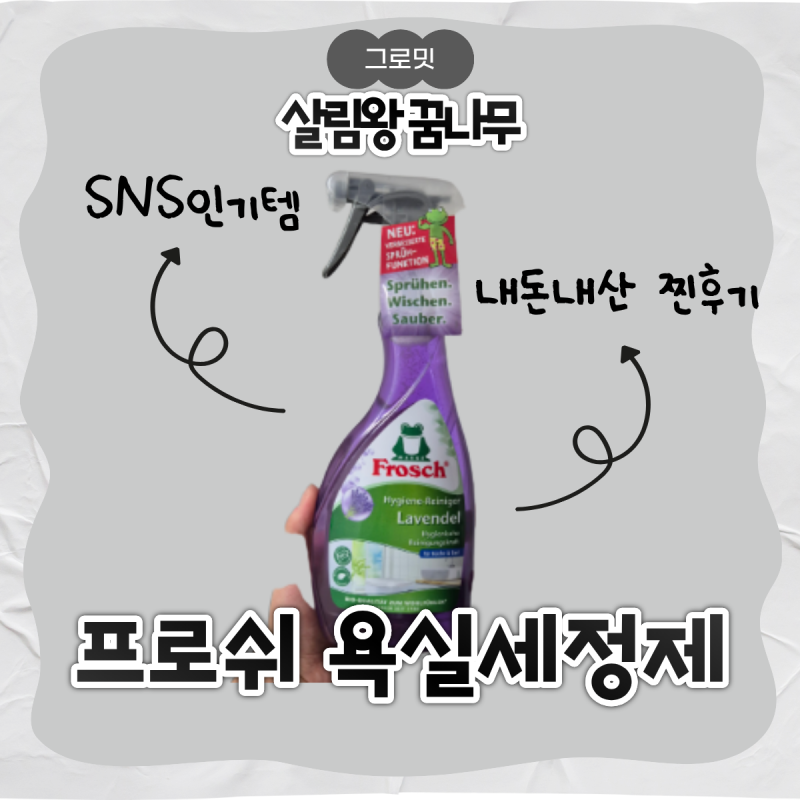 프로쉬 라벤더 욕실세정제 SNS 추천템 내돈내산 후기