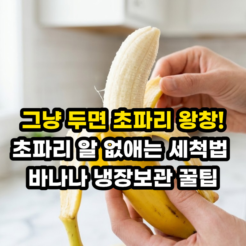 바나나 보관방법 초파리 안생기게! 바나나 냉장보관 갈변 방지 세척 꿀팁