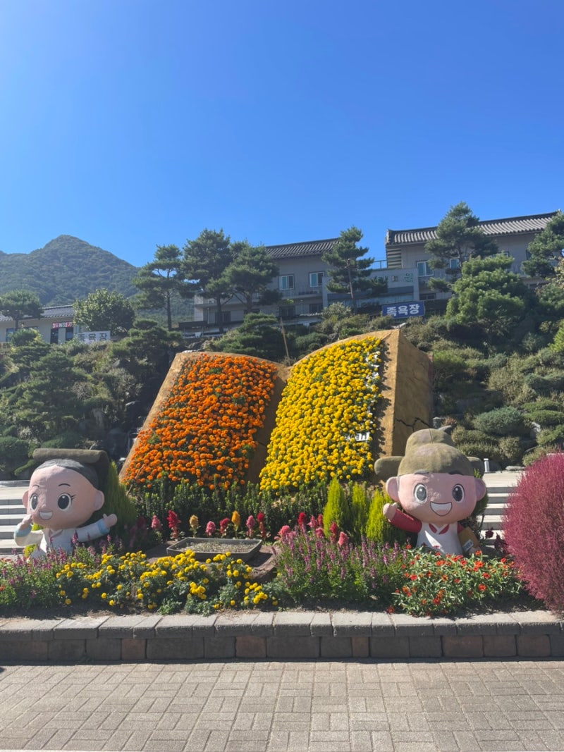산청 동의보감촌 다녀온 후기｜가을에 가기 좋은 산청한방약초축제