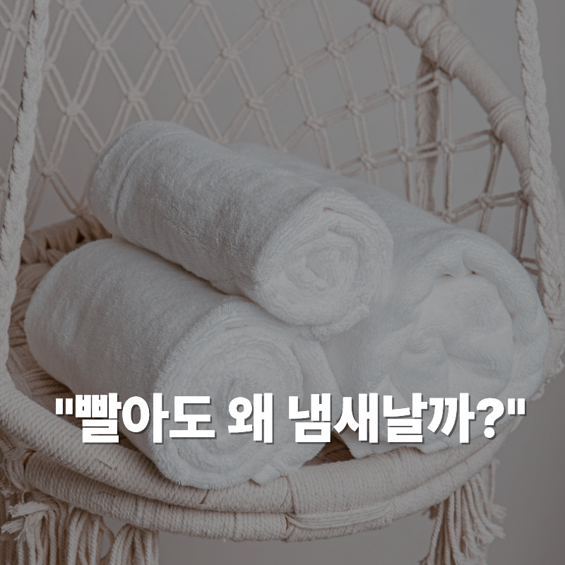 수건은 빨았는데 왜 냄새가 날까? 세제보다 먼저 확인할 3가지