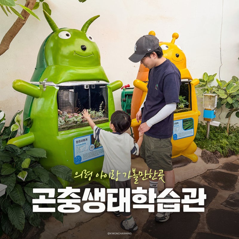 부산 근교 아이랑 박물관여행 의령 곤충생태학습관 실내 체험