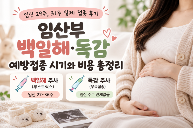 임산부 백일해·독감 예방접종 시기와 비용｜실제 접종 후기와 무료접종 정보까지!