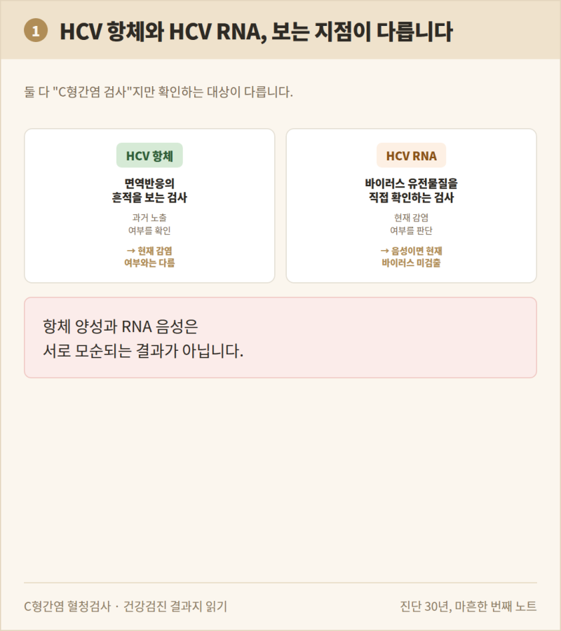 HCV 항체 양성인데 HCV RNA 음성, C형간염이 아니라는 뜻일까