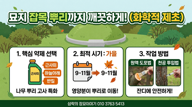 묘지 주변 잡목 완전 퇴치법! 효과적인 제초제 종류와 화학적 제거 방법