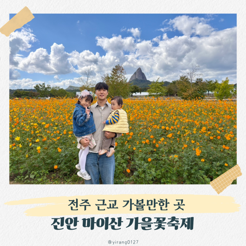 진안 마이산 가을꽃축제 다녀온 후기 축제는 끝났지만 가을꽃은 아직 예뻐요