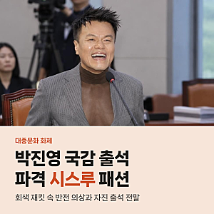 박진영 국감 출석에 파격 시스루 패션, 직접 증인 나선 진짜 이유