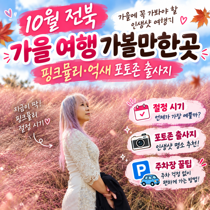 10월 전북 가을꽃 여행 가볼만한곳 7곳, 핑크뮬리·억새 출사지 절정 시기와 주차장 꿀팁