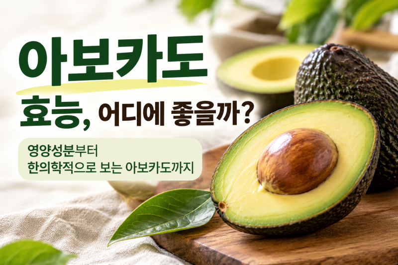 아보카도 효능, 어디에 좋을까? 영양성분부터 한의학적으로 보는 아보카도까지