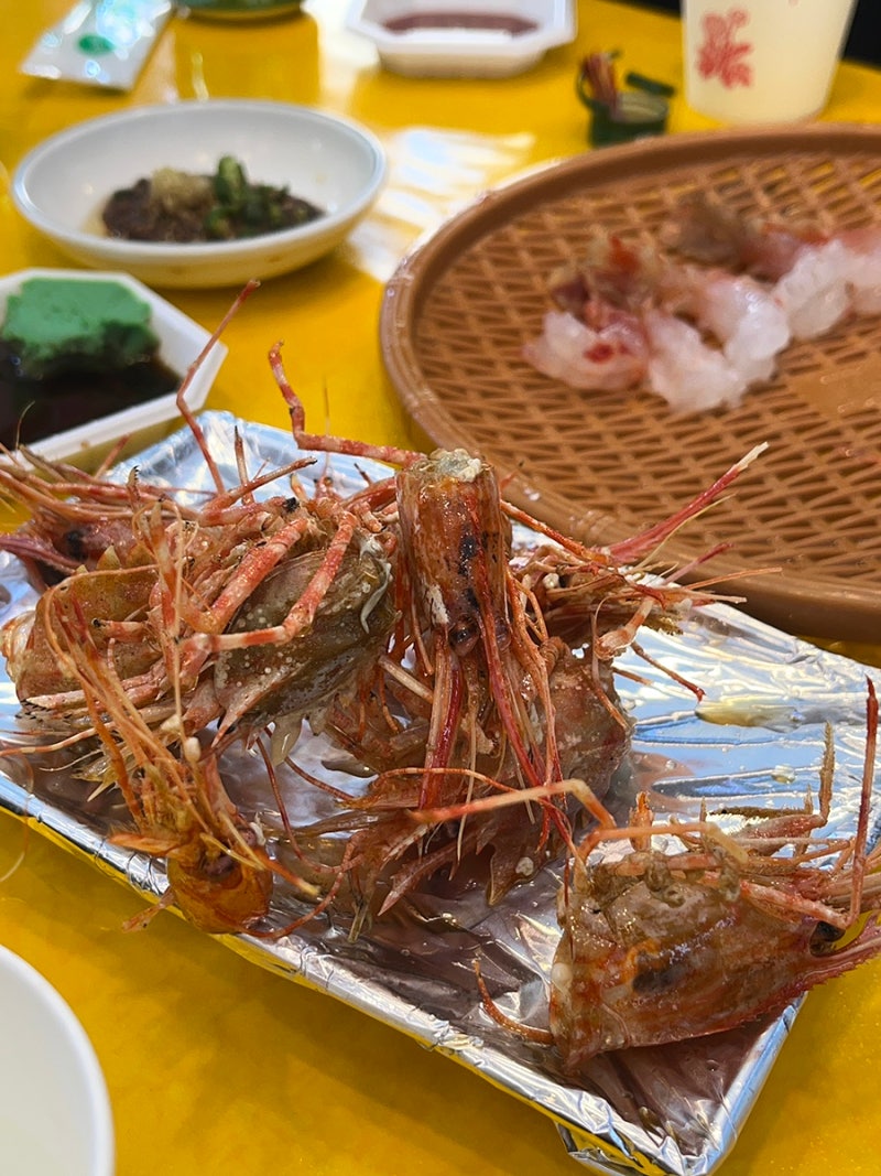 대낮에 소주 마시는 여행 I 주문진 수산시장 어부와바다 I 청어 소라 독도새우 오징어회