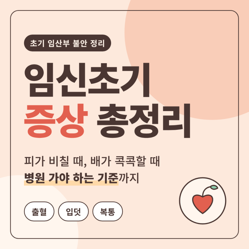 임신초기증상 총정리 출혈 입덧 복통 병원 가는 기준