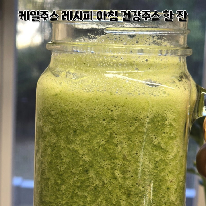 케일주스 레시피 케일 효능 다이어트에 좋은 바나나 사과 건강주스