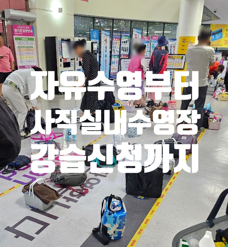 부산 사직실내수영장 강습 신청부터 자유수영 후기까지