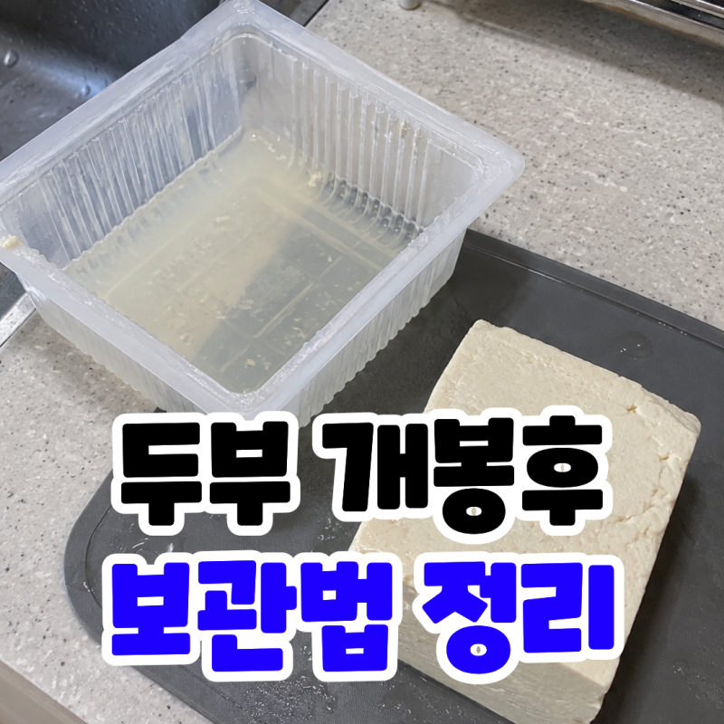 두부 개봉 후 보관법! 냉장?? 남은 두부 물 매일 갈까? + 상한 두부 구별하는 방법