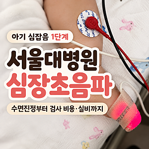 아기 심잡음 1단계 서울대병원 심장초음파 후기 | 수면진정·검사 비용·실비 청구