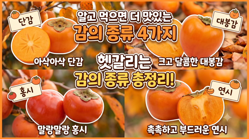 가을 제철 감의 모든 것! 단감·대봉감·홍시·연시 차이점과 효능, 맛있게 먹는 법 총정리