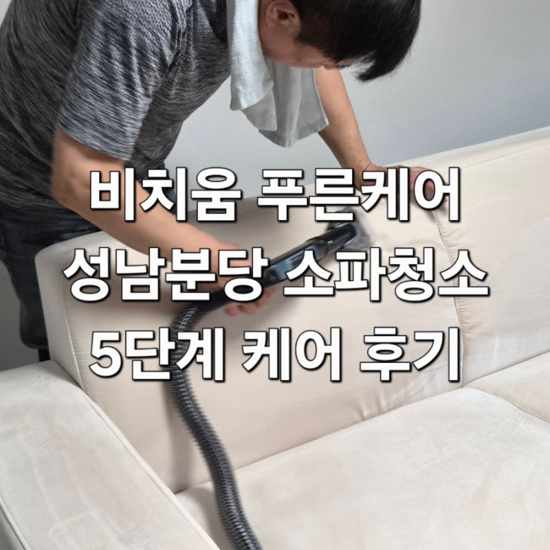 비치움푸른케어 아쿠아텍스 패브릭소파청소 고양이털/얼룩 제거 프리미엄 소파케어 솔직후....