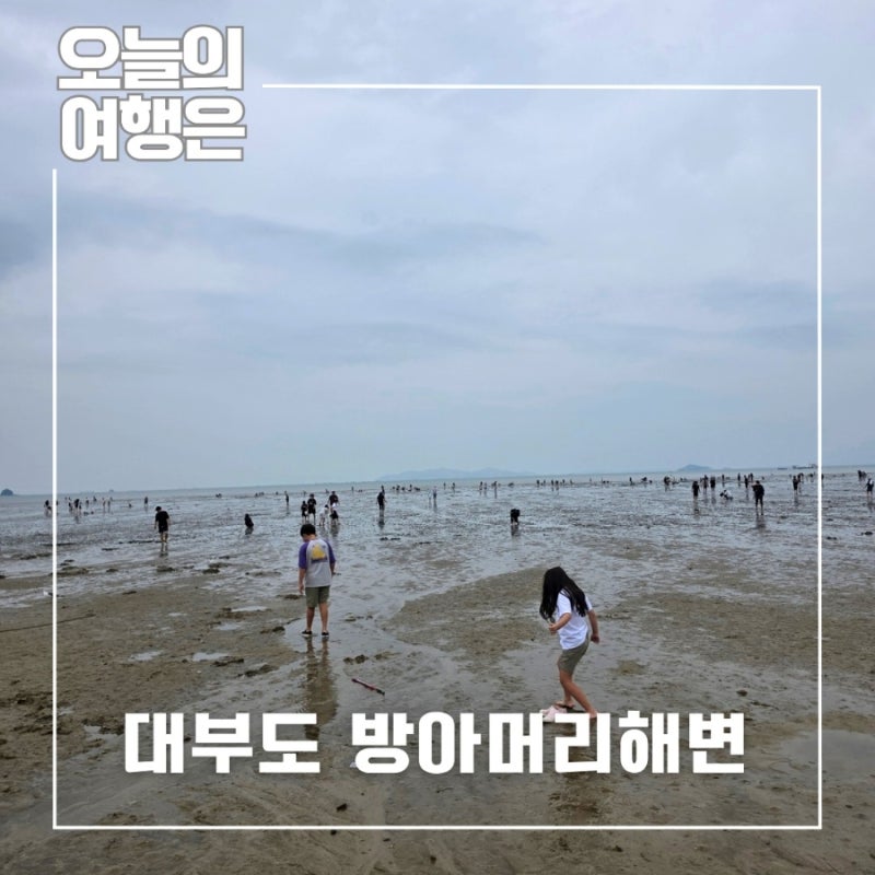 안산 대부도 방아머리해수욕장 아이랑 나들이 주차, 갯벌체험, 제철 해산물