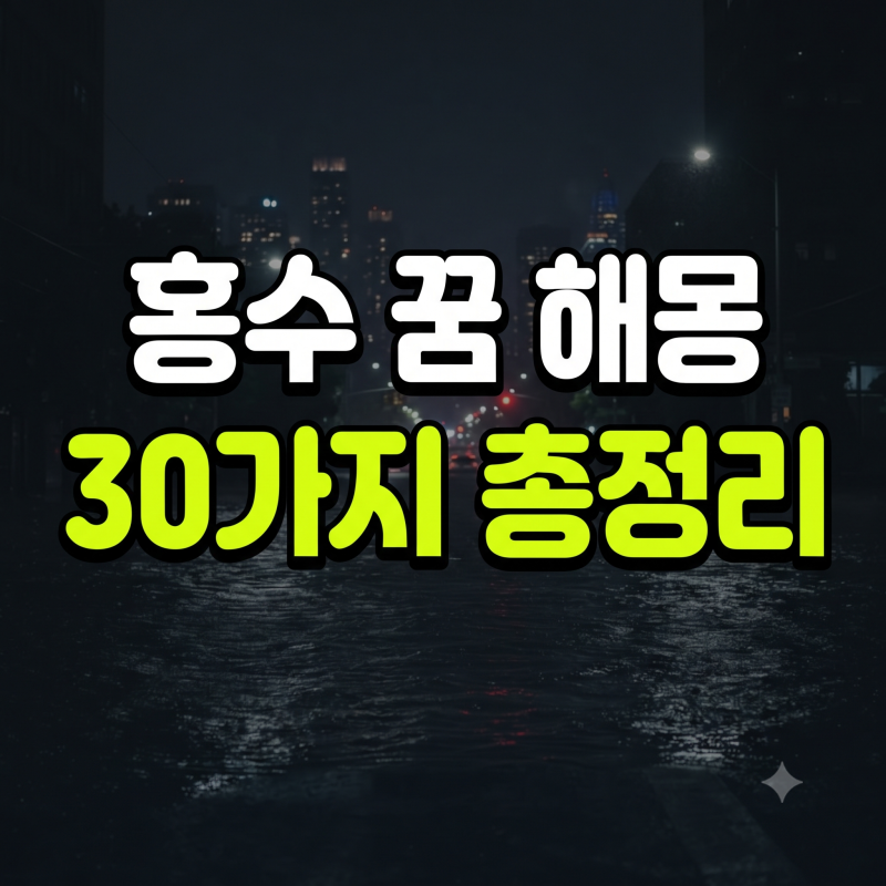 홍수 나는 꿈 해몽 총정리 맑은물 흙탕물 물난리 꿈 로또 길몽 흉몽 30가지