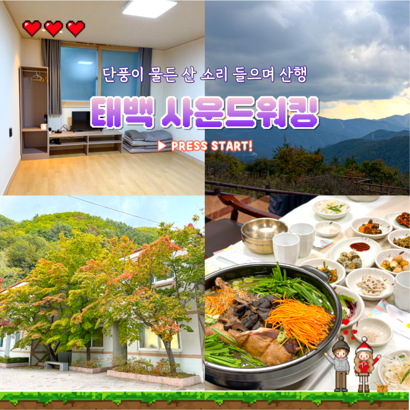 강원도 태백 여행 가볼만한곳 태백산 국립공원 사운드워킹 태백 숙소