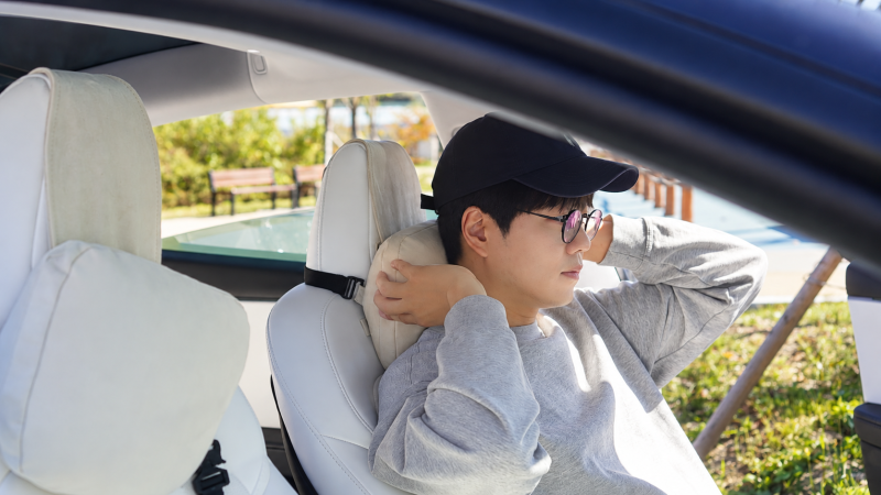 테슬라 차량용 목쿠션, 비싼 제품도 정리했습니다! 벤딕트 추천 후기 100% 만족