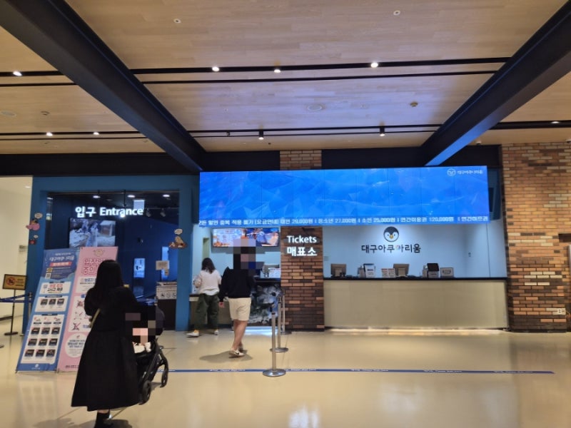 대구 동대구역 신세계백화점 아쿠아리움 할인예약 인어공주쇼 관람후기