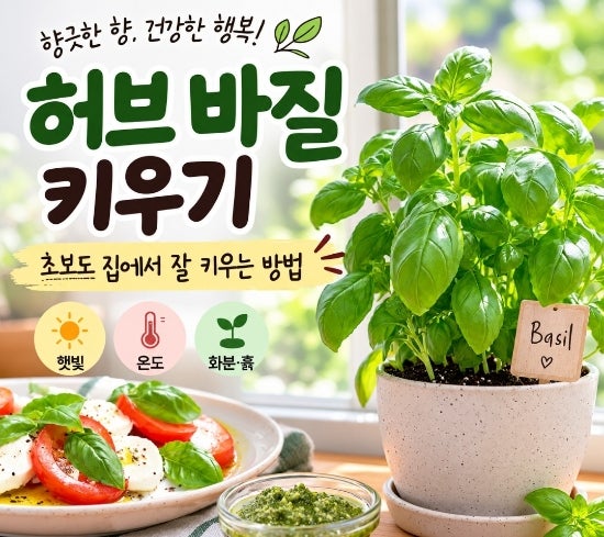 집에서 바질 키우기 | 스위트바질 잘 키워서 요리에 활용해요!