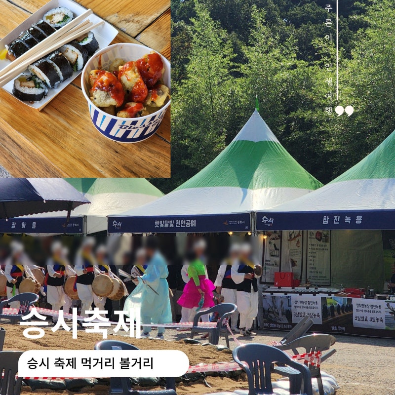대구 팔공산 승시축제 동화사 주차 먹거리 볼거리 두부김밥 냠냠
