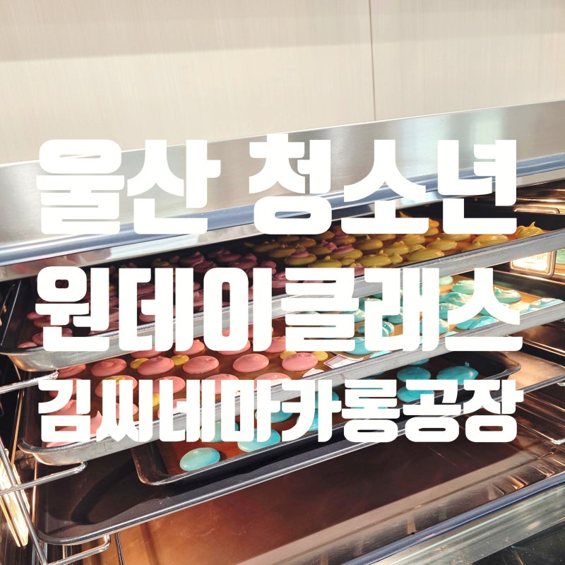 울산 청소년 원데이클래스 마카롱부터 케이크까지 김씨네마카롱공장