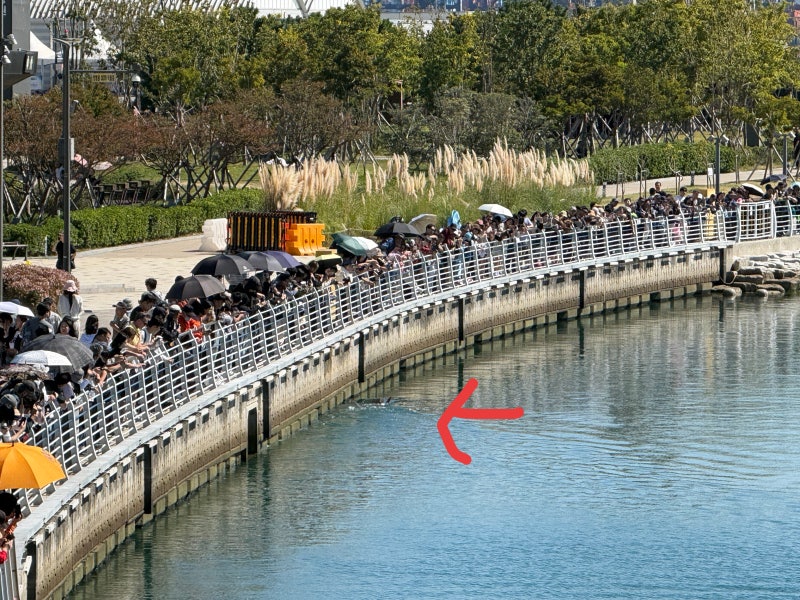 부산 볼거리 북항 친수공원 상어 부캉이 위치와 실물 후기