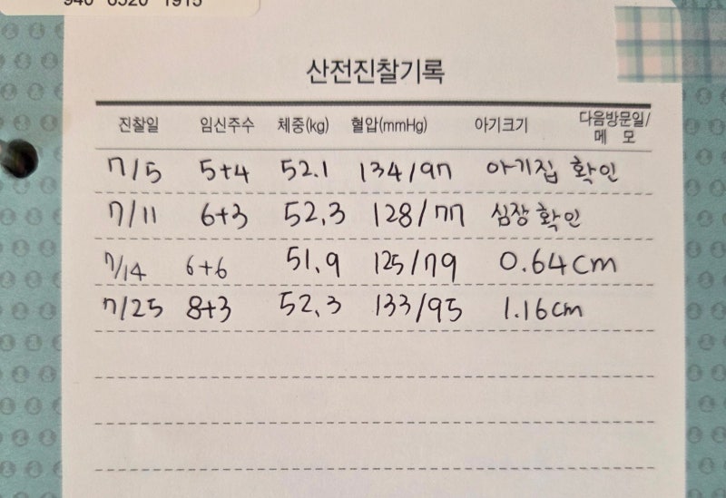 [임신 8주 3일] 계류유산 진단｜ 7주 차에 성장이 멈춘 콩순이