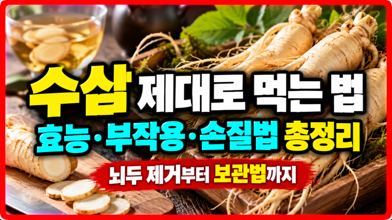 수삼 효능과 체질별 부작용 수삼 꿀절임 만드는법